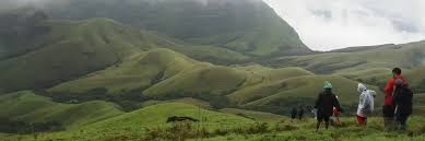 Trekking trail through Coorg coffee plantations and misty hills