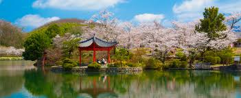 Main promenade and cherry trees inside Ueno Park Tokyo
