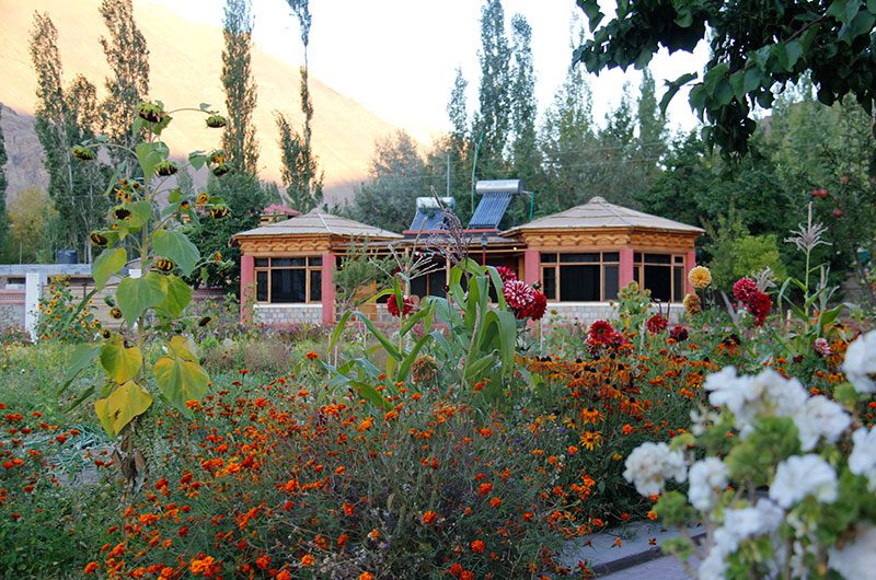 Stay area and cottages in Uleytokpo village Ladakh