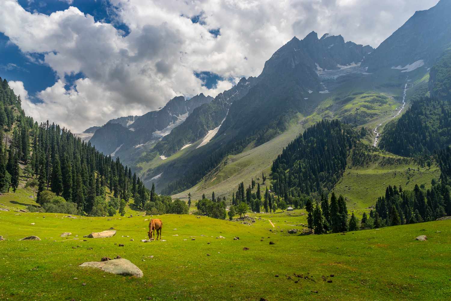 Wide mountain valley landscape in Kashmir with river, meadows, and pine forests