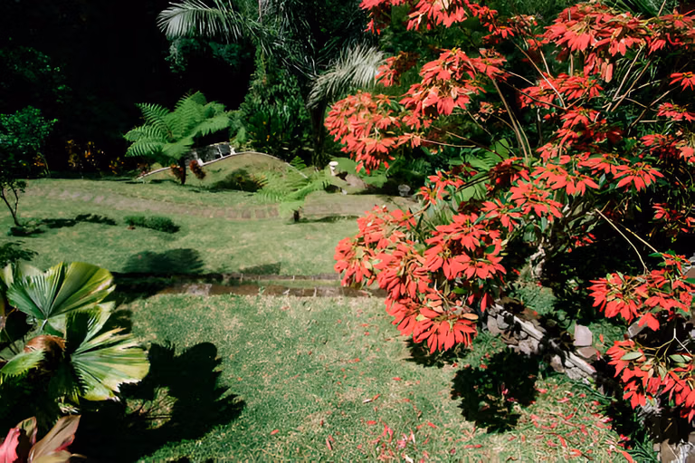 Colorful flower beds in Vandhara Garden Silvassa