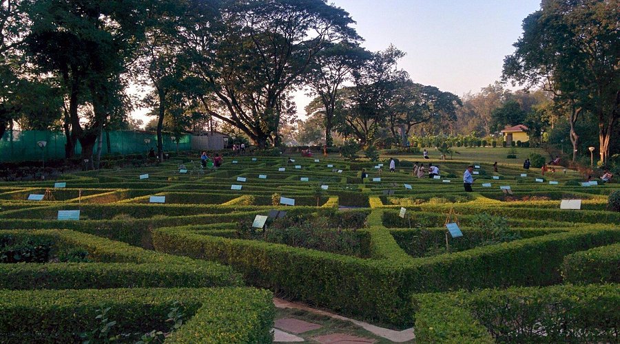 Lush lawns and pathways at Vandhara Garden Silvassa