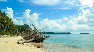 Coastline and clear water at Wandoor Beach Andaman
