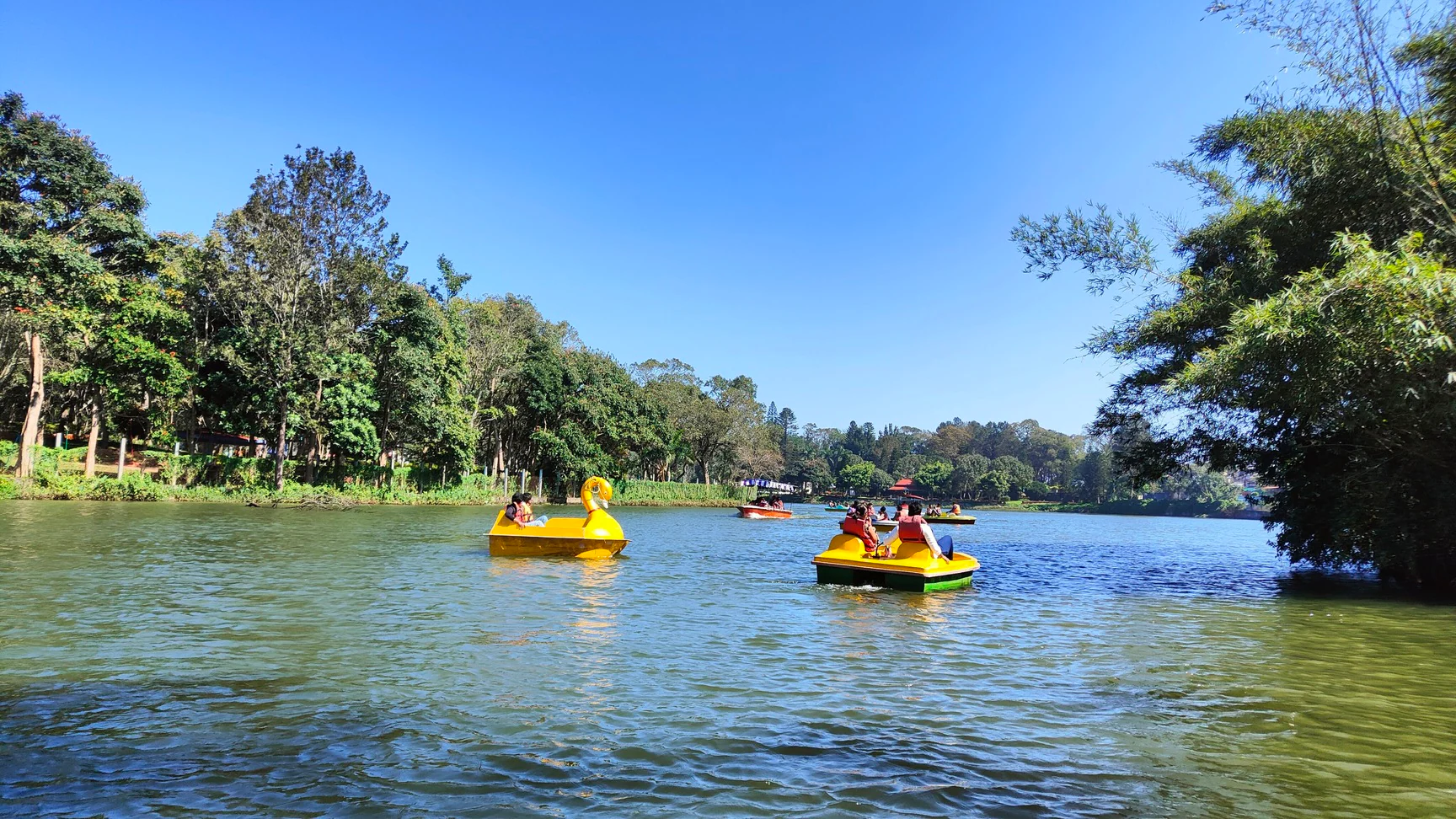 Boating on Yercaud Lake in Tamil Nadu